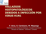 hallazgos histopatológicos debidos a infección por virus h1n1