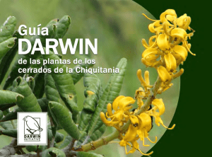 Guía Darwin de las Plantas de los Cerrados de la Chiquitania
