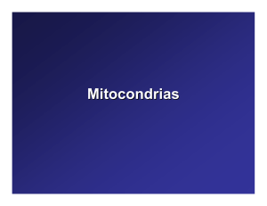 Mitocondrias - Peroxisomas