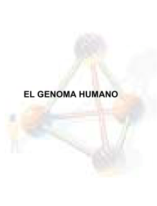 el genoma humano