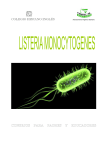 La bacteria listeria monocytogenes