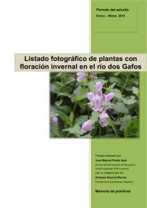 Listado fotográfico de plantas con floración invernal en