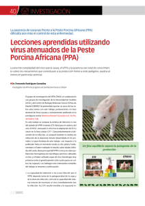 Lecciones aprendidas utilizando virus atenuados de la Peste