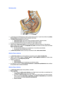 Introducción Arteria iliaca externa Arteria iliaca interna