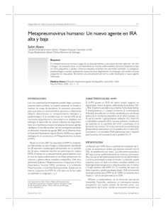 Metapneumovirus humano: Un nuevo agente en IRA alta y baja