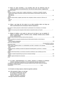 2.- Dibuje una célula procariótica y una eucariótica [0,8