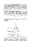Modelo piramidal de Lahey y Loeber