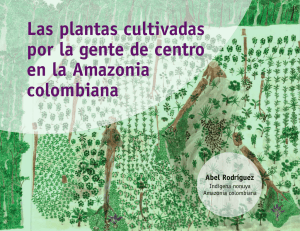 Las plantas cultivadas por la gente de centro en la Amazonia