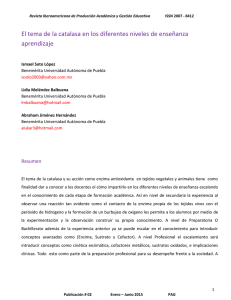 Descargar este archivo PDF - Revista Iberoamericana de