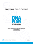 Bacterial CNS FLOW CHIP