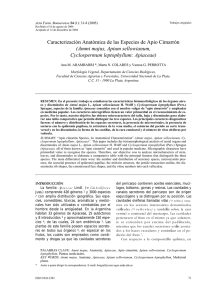 Caracterizaci&oacute;n Anat&oacute;mica de las Especies de Apio Cimarr&oacute;n