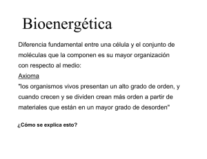 Bioenergética - U