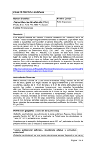 Cistanthe cachinalensis - Ministerio del Medio Ambiente