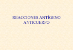 3.- Reacciones antígeno – anticuerpo