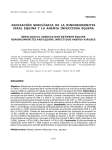 PDF english/español