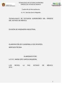 TECNOLOGICO DE ESTUDIOS SUPERIORES ORIENTE