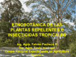 Etnobotánica de las plantas repelentes e - RAPAL