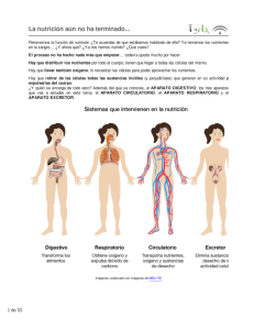 La nutrición aún no ha terminado