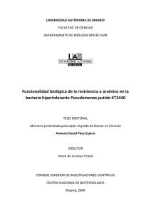 Funcionalidad biológica de la resistencia a arsénico en la bacteria