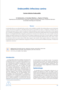 Endocarditis infecciosa canina