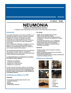 neumonia - Cámara Argentina de Feedlot