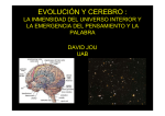 evolución y cerebro