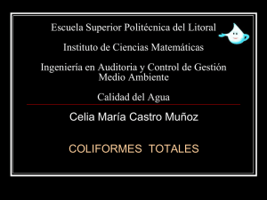 Coliformes totales Celia CAstro