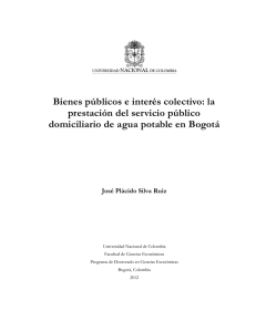 Bienes públicos e interés colectivo: la prestación del servicio