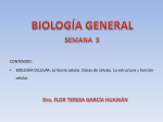 Diapositiva 1 - Flor García Huamán
