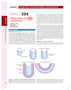 Capítulo 224-Biología básica del aparato - McGraw