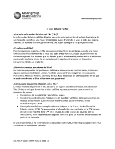 El virus del Zika y usted