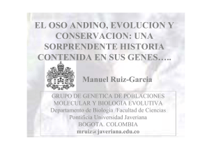EL OSO ANDINO, EVOLUCION Y CONSERVACION: UNA