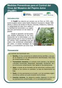 Pepmv. Virus del Tomate (PDF- 521 Kb)