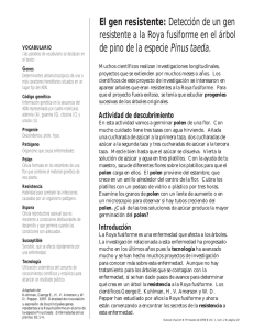 El gen resistente: Detecci&oacute;n de un gen resistente a