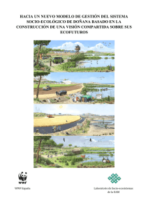 hacia un nuevo modelo de gesti&oacute;n del sistema socio