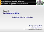 Universidad Simón Bolívar EC5723 Algoritmos Genéticos Tema I