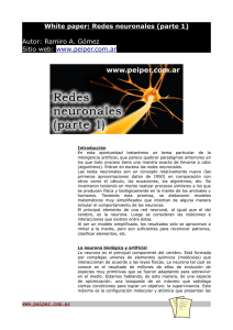 White paper: Redes neuronales