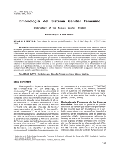 Embriología del Sistema Genital Femenino