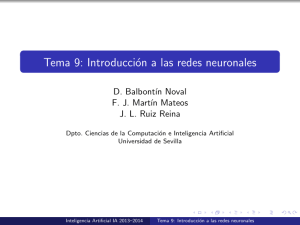 Tema 9: Introducción a las redes neuronales
