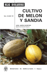 cultivo de melon y sandia