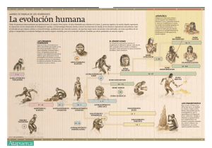 La evolución humana - Diario de Atapuerca