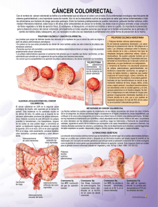 cáncer colorrectal - Medicinabiologica.es