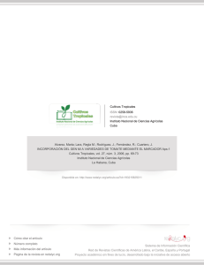 Redalyc.INCORPORACIÓN DEL GEN Mi A VARIEDADES DE