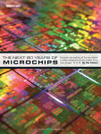 The Next 20 Years of Microchips