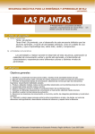 las plantas - Atención a la Diversidad Murcia