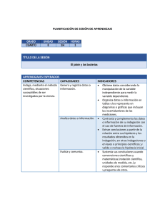 planificaci&oacute;n de sesi&oacute;n de aprendizaje aprendizajes esperados
