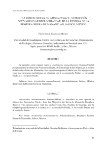 Español  - SciELO México