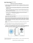 Resoluciones de ejercicios del PRÁCTICO 8 0.529 Å