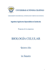 Biología Celular (T y P)