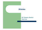 Árboles - GEOCITIES.ws